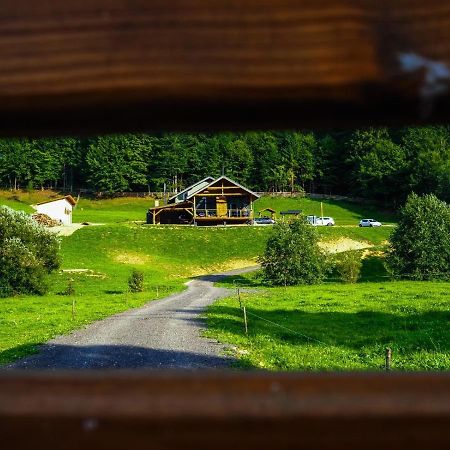 Valley House Cabana Cu Priveliste De Vis Sita Buzăului Zewnętrze zdjęcie