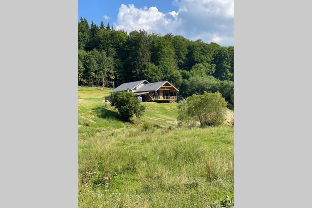 Valley House Cabana Cu Priveliste De Vis Sita Buzăului Zewnętrze zdjęcie