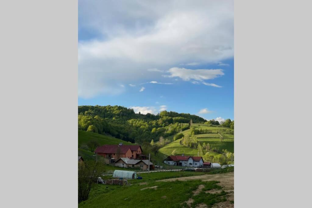 Valley House Cabana Cu Priveliste De Vis Sita Buzăului Zewnętrze zdjęcie
