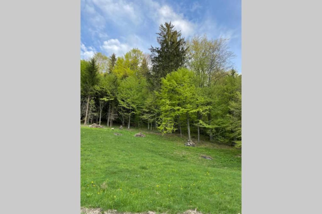Valley House Cabana Cu Priveliste De Vis Sita Buzăului Zewnętrze zdjęcie