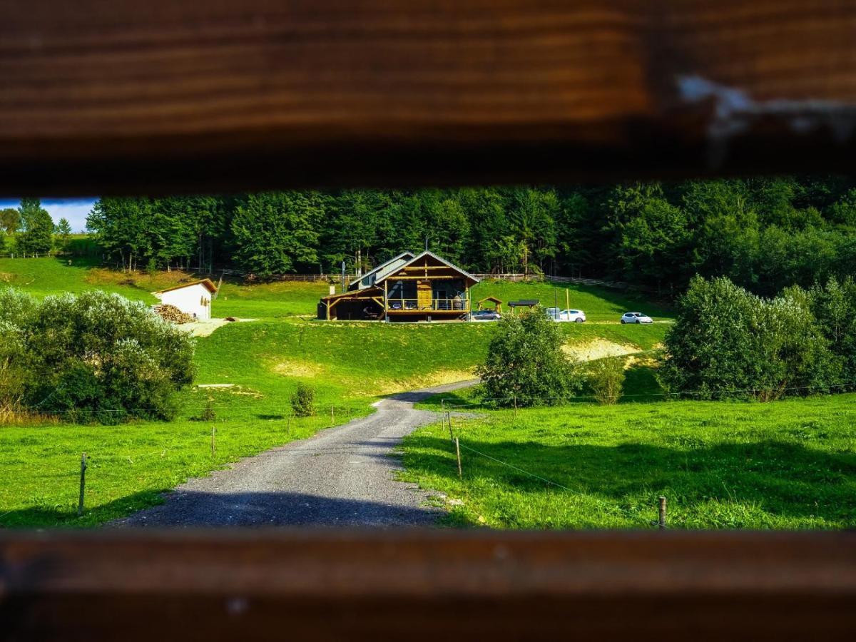 Valley House Cabana Cu Priveliste De Vis Sita Buzăului Zewnętrze zdjęcie